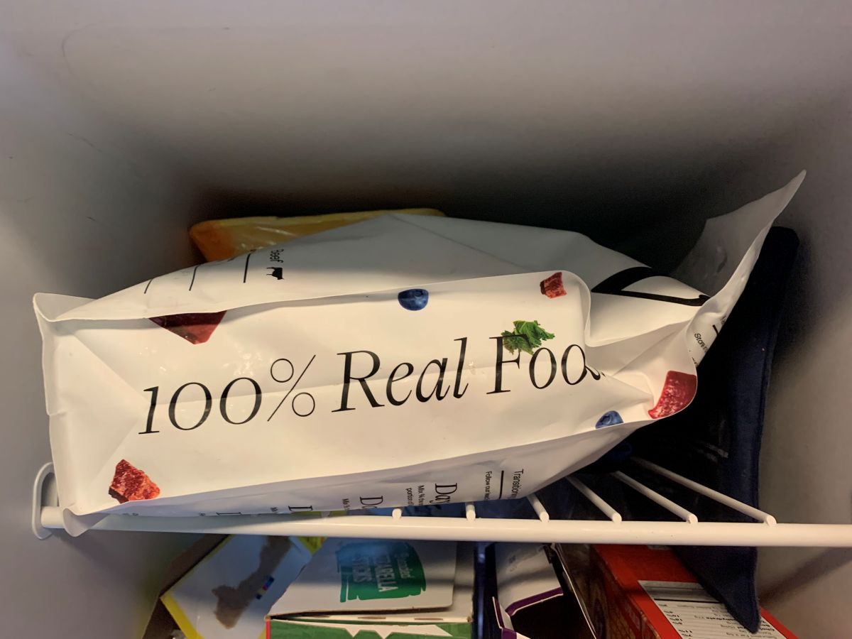 Maev in Freezer