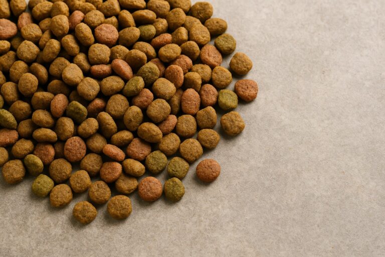 low quality dog food