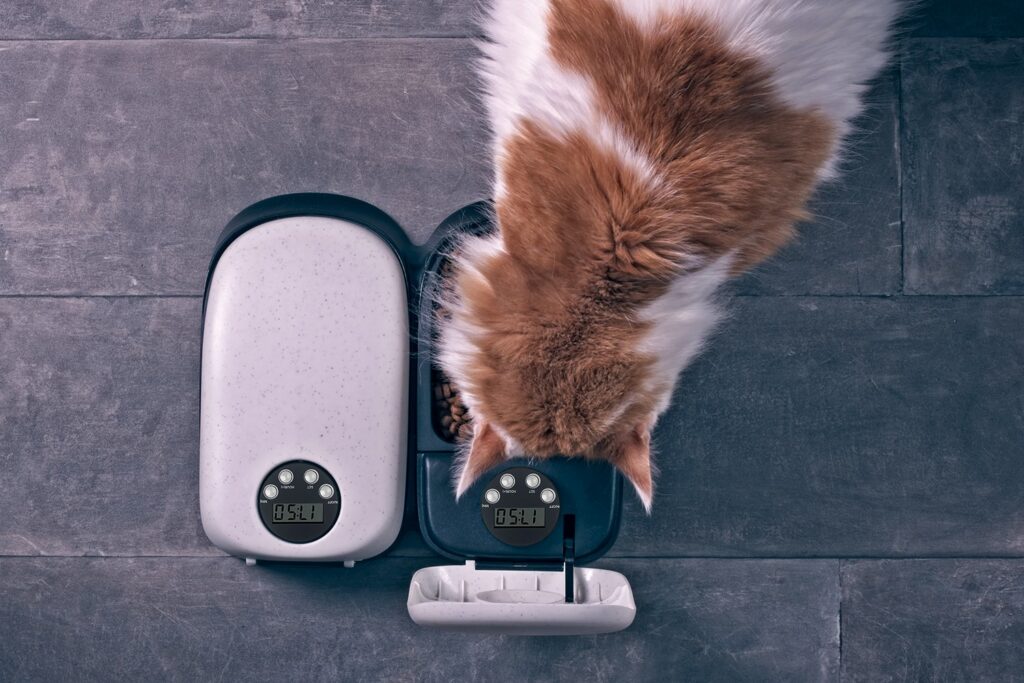Automatic Cat Feeder Guide