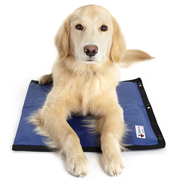 Hydro Cooling Mat Dog Cooling Mat - 100% Pure Water