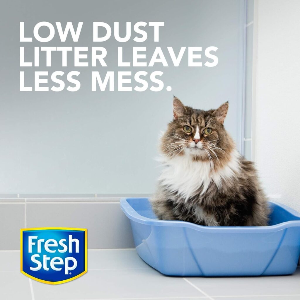 Best Budget Pick: Fresh Step® Extreme With Febreze