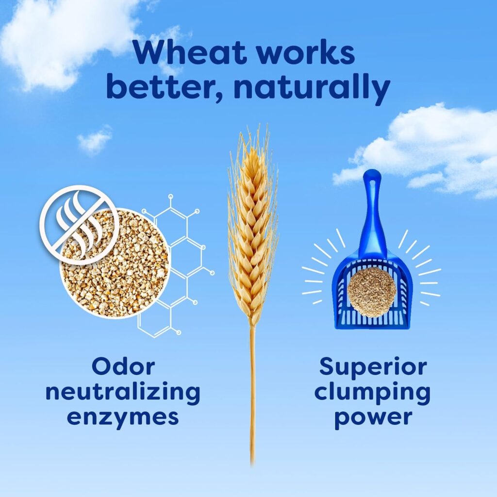 Best Multi-Cat Pick: SWHEAT Scoop Multi-Cat Natural Clumping Wheat Cat Litter