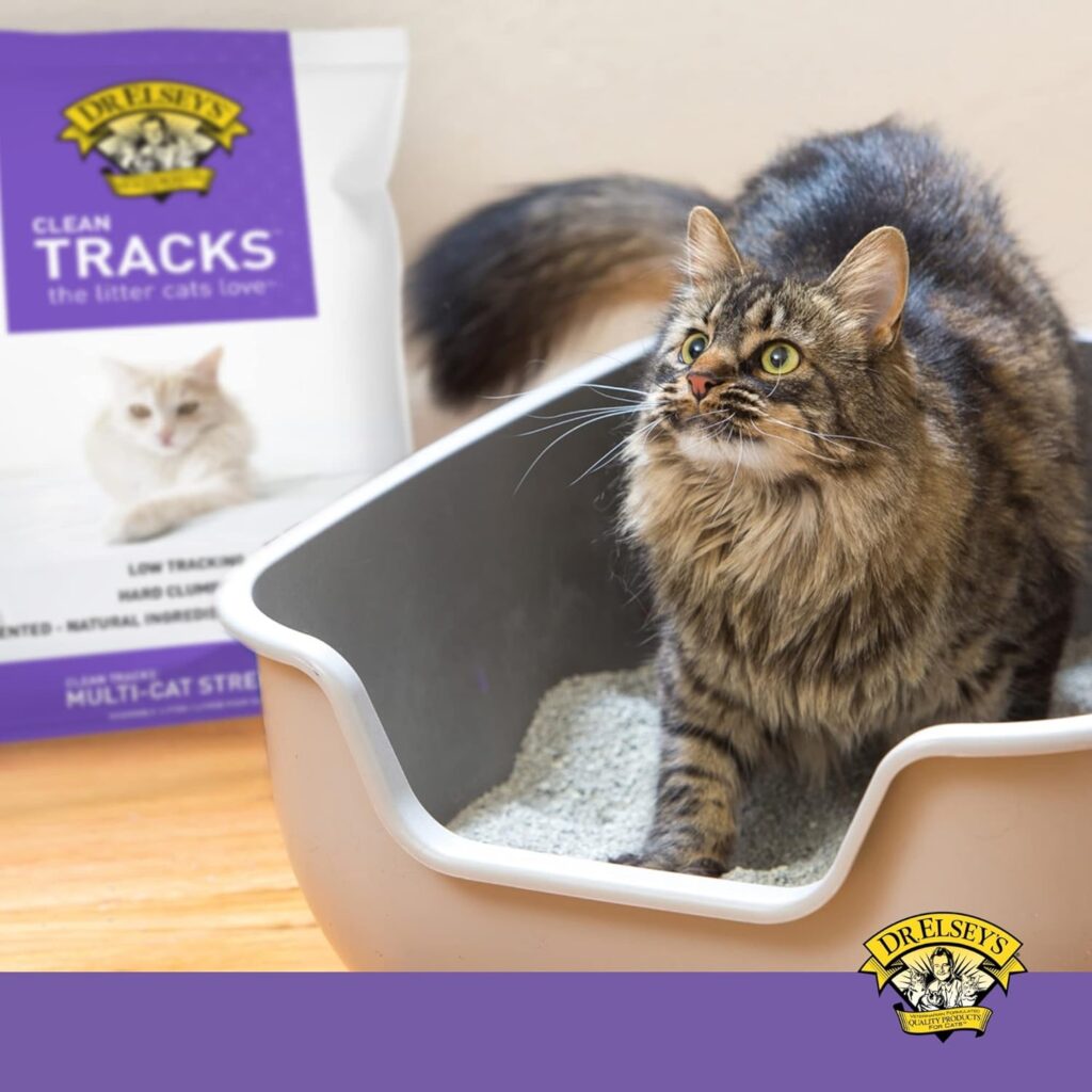 Best Dust-Free: Dr. Elsey’s Ultra Dust-Free Clumping Cat Litter