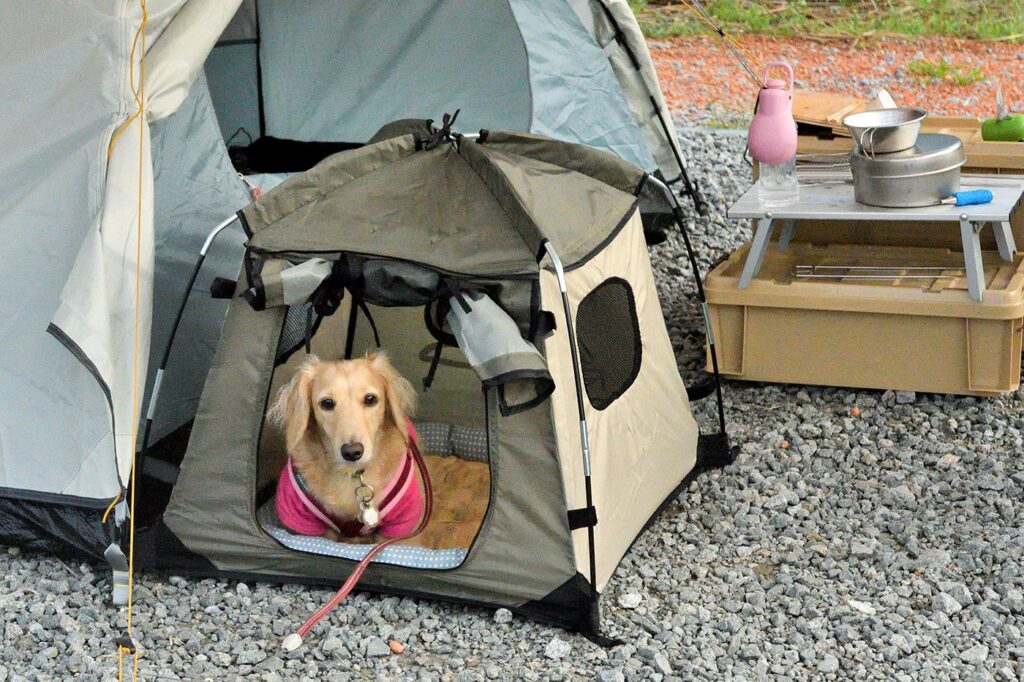 Why Dog Tents Are the New Must-Have for Travel-Savvy Pet Parents