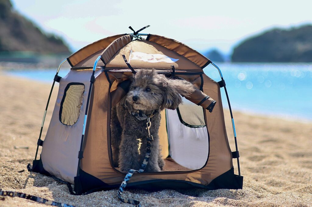 Why Dog Tents Are the New Must-Have for Travel-Savvy Pet Parents