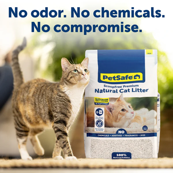 Best Natural: PetSafe ScoopFree® Premium Natural Cat Litter
