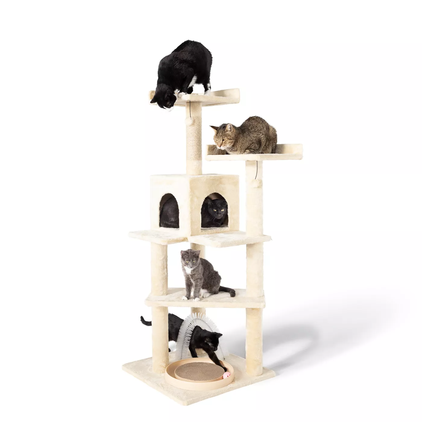Whisker City® 60-in Playbox