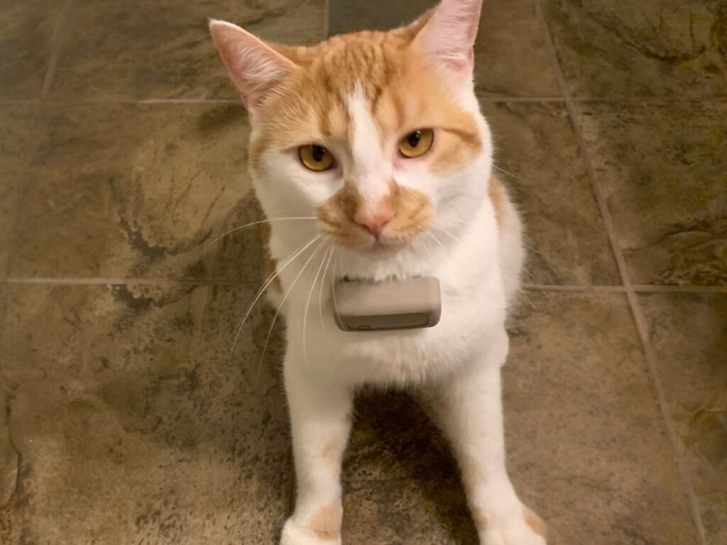 tractive mini cat gps tracker f
