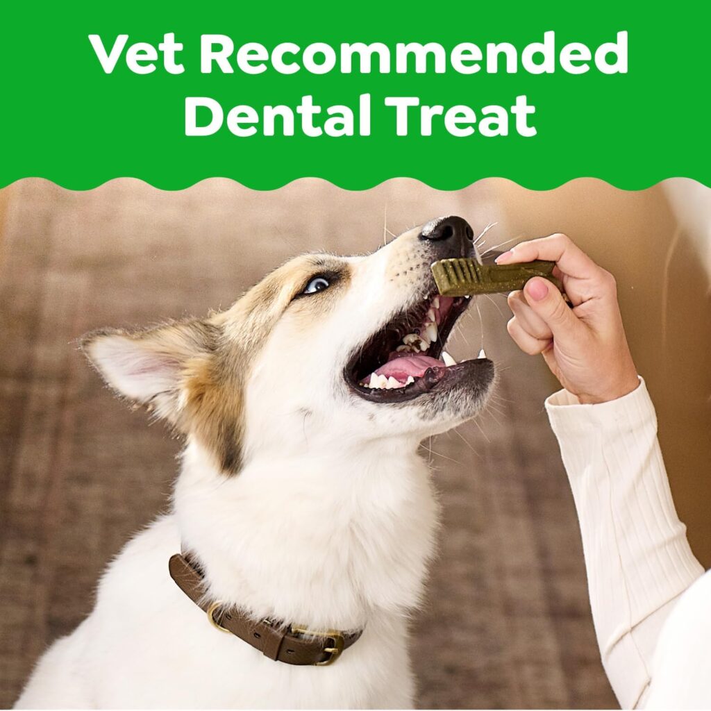Best Budget Pick: Greenies Original Regular Dental Dog Treats