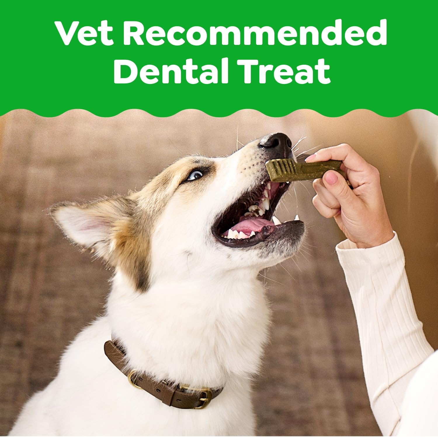 Greenies Natural Dental Dog Treats