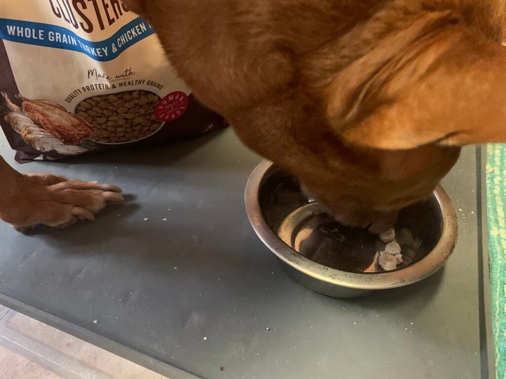 Honest Kitchen Essential Clusters: Real-World Review for Picky Dogs