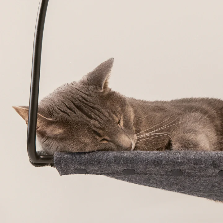Cloud Nine Window Hammock from Tuft & Paw