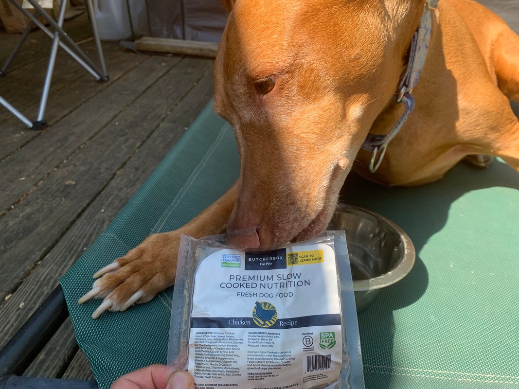 ButcherBox For Pets fresh dog food review
