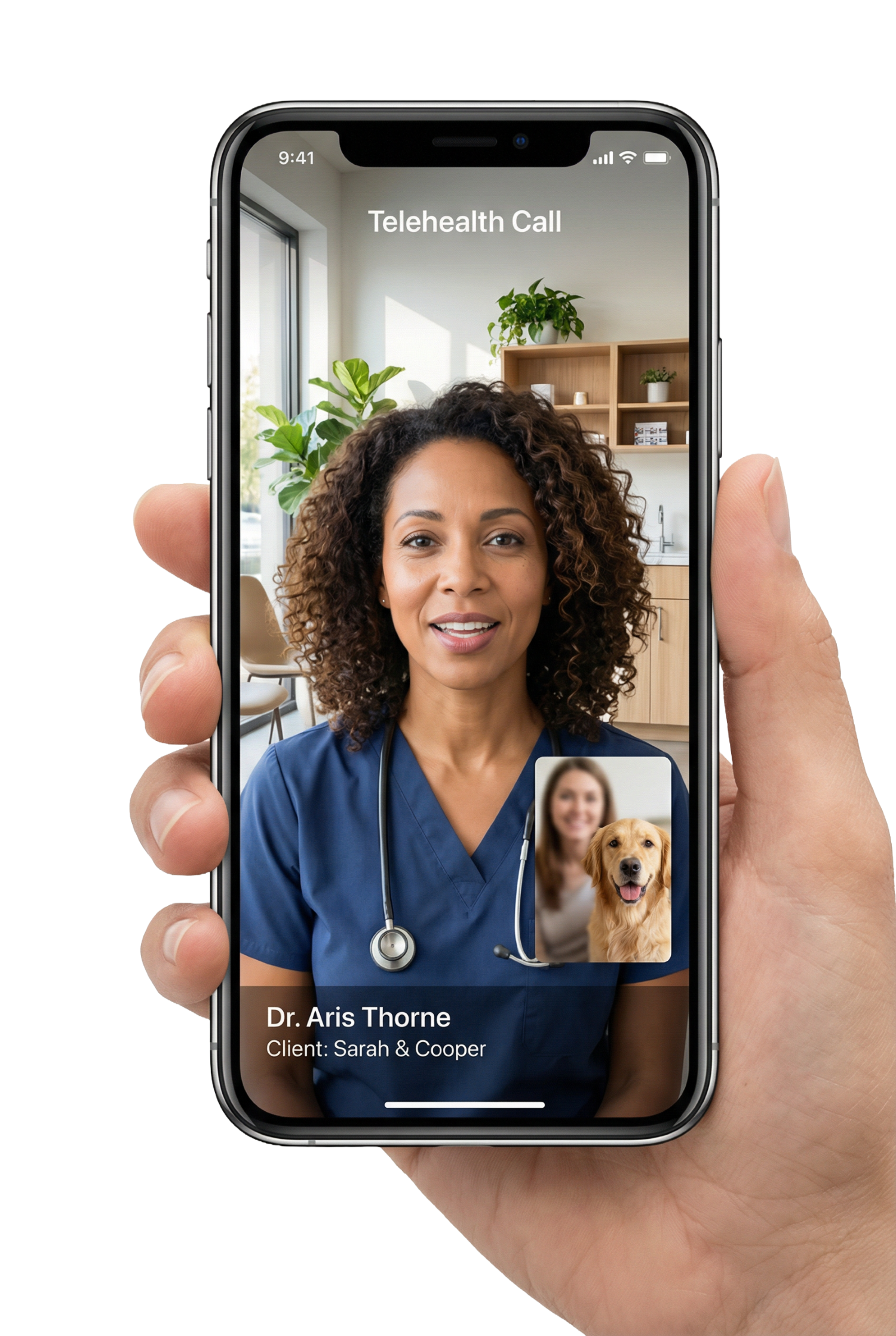 Best Telehealth Vets