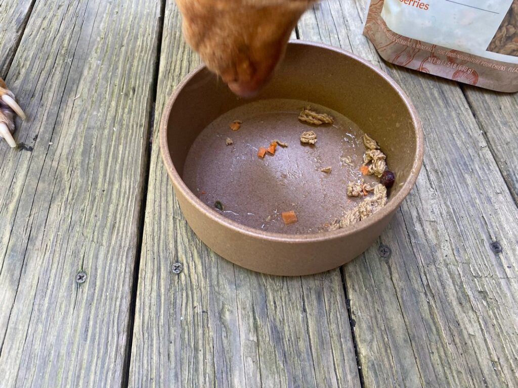 Freshpet Delivery Review: We Tried 3 Recipes With Our Picky Dog