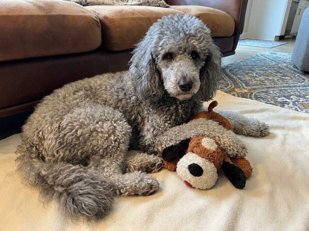 Snuggle Puppy