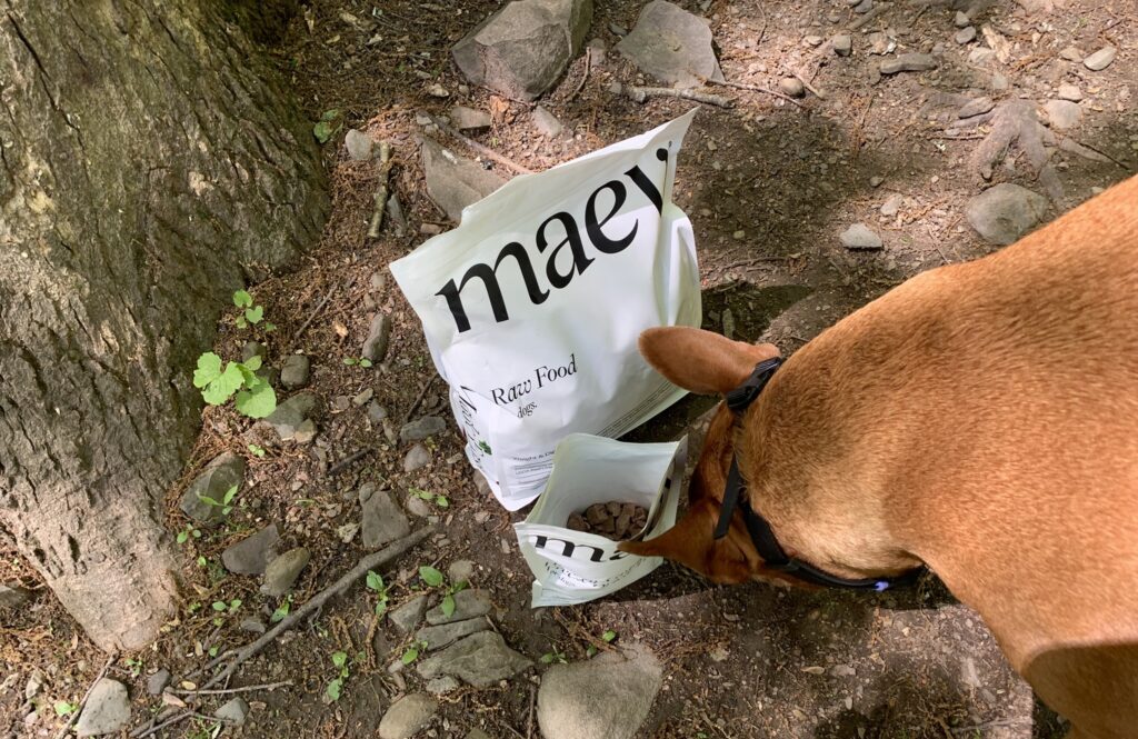 Maev dog food review