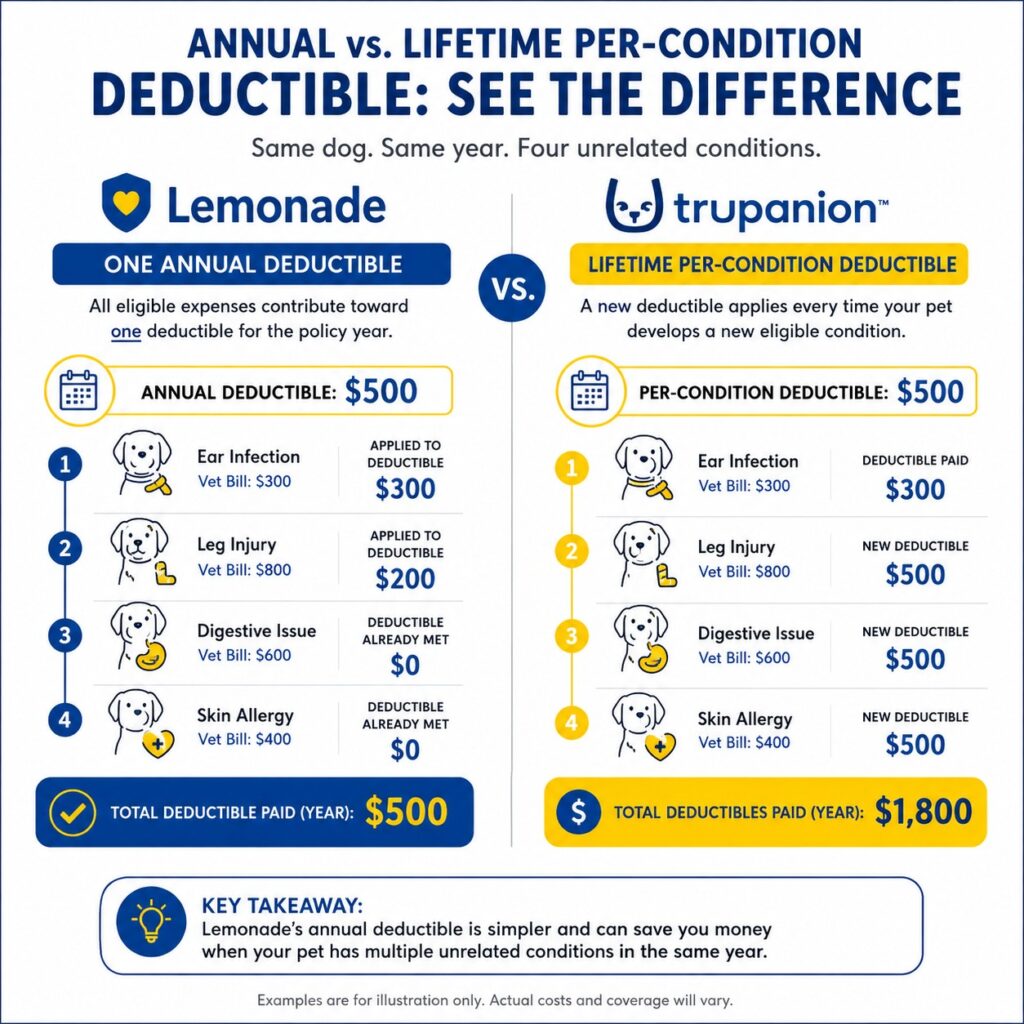 Lemonade Gives You More Ways to Customize Your Policy