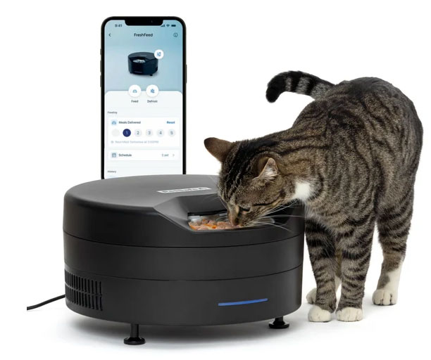 PetSafe FreshFeed Refrigerated Pet Feeder