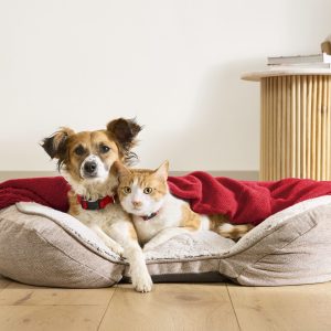 PetSmart Fall Sale Event